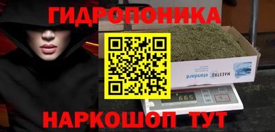 индика Апрелевка