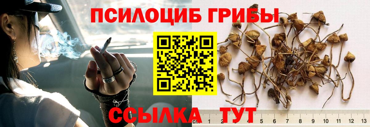 Псилоцибиновые грибы ЛСД Аша